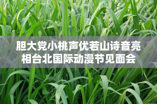 胆大党小桃声优若山诗音亮相台北国际动漫节见面会