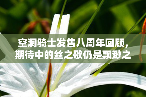 空洞骑士发售八周年回顾，期待中的丝之歌仍是飘渺之梦