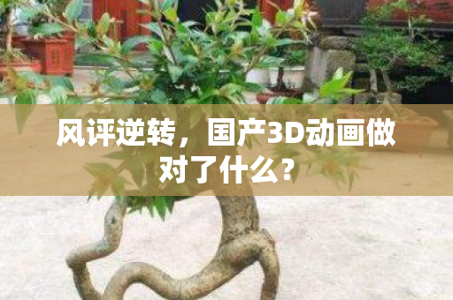 风评逆转，国产3D动画做对了什么？