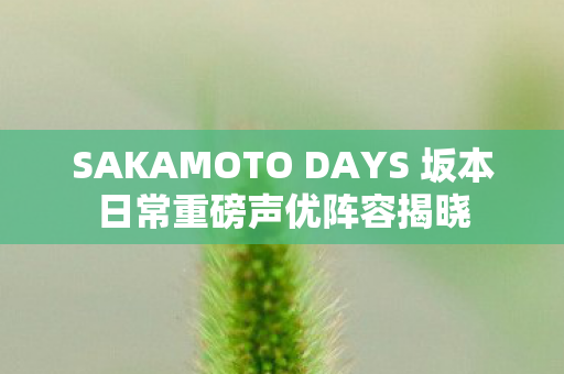 SAKAMOTO DAYS 坂本日常重磅声优阵容揭晓