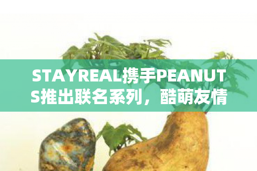 STAYREAL携手PEANUTS推出联名系列，酷萌友情燃爆时尚潮流—酷萌友创意主题