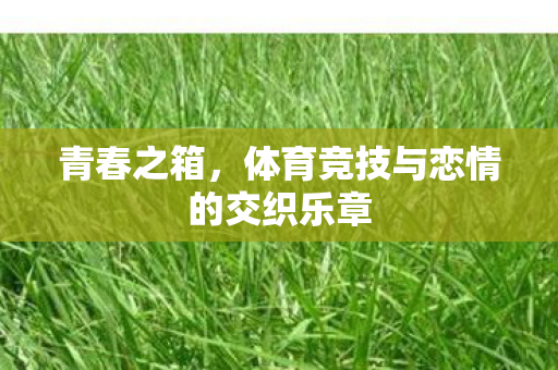 青春之箱，体育竞技与恋情的交织乐章