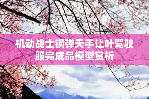 机动战士钢弹天手让叶驾驶服完成品模型赏析