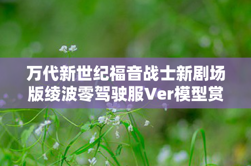万代新世纪福音战士新剧场版绫波零驾驶服Ver模型赏析