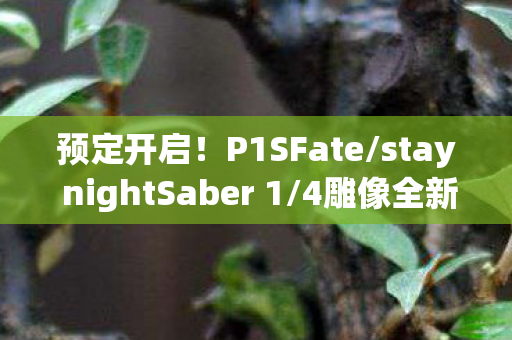 预定开启！P1SFate/stay nightSaber 1/4雕像全新预定活动启动