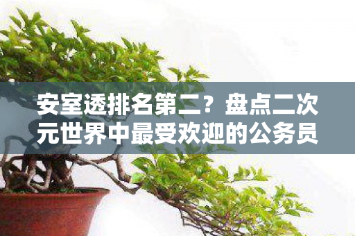 安室透排名第二？盘点二次元世界中最受欢迎的公务员角色