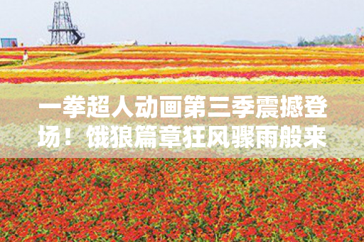 一拳超人动画第三季震撼登场！饿狼篇章狂风骤雨般来袭！