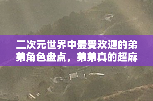 二次元世界中最受欢迎的弟弟角色盘点，弟弟真的超麻烦！