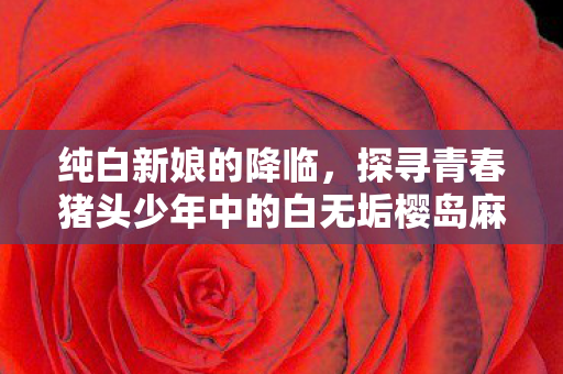 纯白新娘的降临，探寻青春猪头少年中的白无垢樱岛麻衣模型