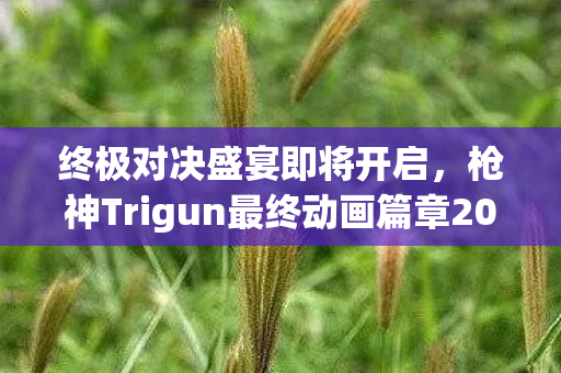 终极对决盛宴即将开启，枪神Trigun最终动画篇章2026年震撼开播