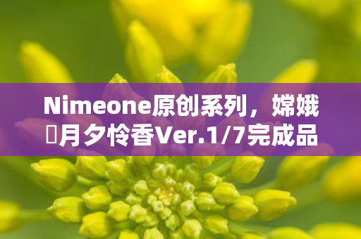 Nimeone原创系列，嫦娥・月夕怜香Ver.1/7完成品模型—探索神秘宇宙之美