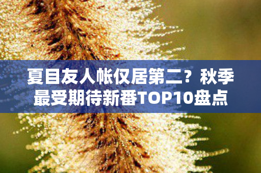夏目友人帐仅居第二？秋季最受期待新番TOP10盘点