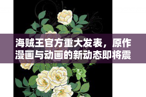 海贼王官方重大发表，原作漫画与动画的新动态即将震撼登场！
