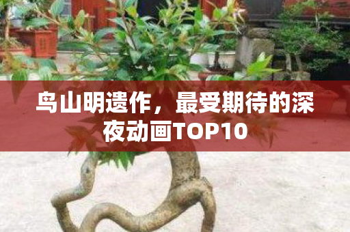鸟山明遗作，最受期待的深夜动画TOP10