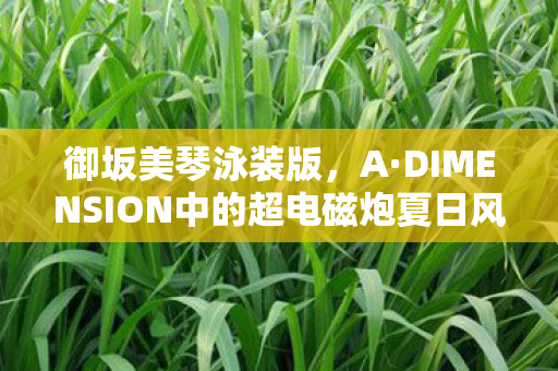 御坂美琴泳装版，A·DIMENSION中的超电磁炮夏日风情