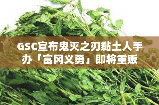 GSC宣布鬼灭之刃黏土人手办「富冈义勇」即将重贩