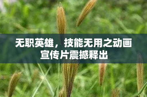 无职英雄，技能无用之动画宣传片震撼释出