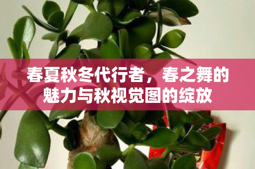 春夏秋冬代行者，春之舞的魅力与秋视觉图的绽放
