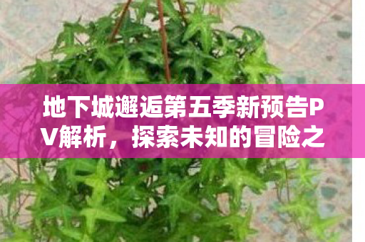 地下城邂逅第五季新预告PV解析，探索未知的冒险之旅