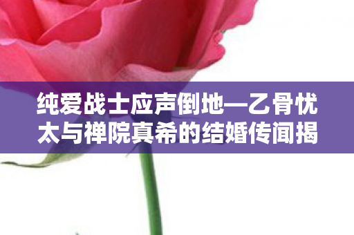 纯爱战士应声倒地—乙骨忧太与禅院真希的结婚传闻揭秘