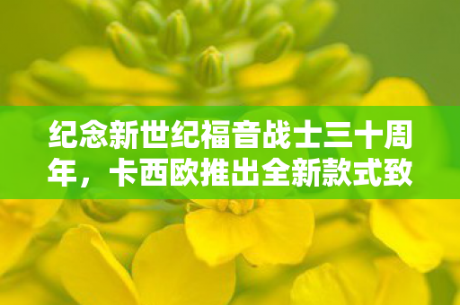 纪念新世纪福音战士三十周年，卡西欧推出全新款式致敬经典