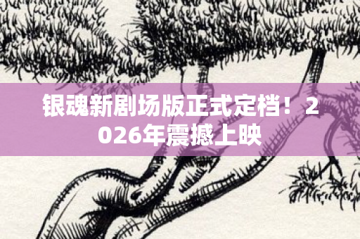 银魂新剧场版正式定档！2026年震撼上映