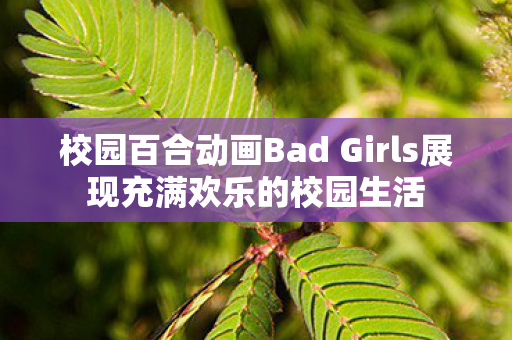 校园百合动画Bad Girls展现充满欢乐的校园生活