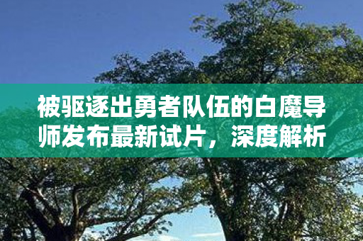 被驱逐出勇者队伍的白魔导师发布最新试片，深度解析与期待