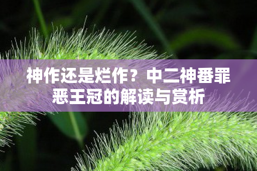 神作还是烂作？中二神番罪恶王冠的解读与赏析