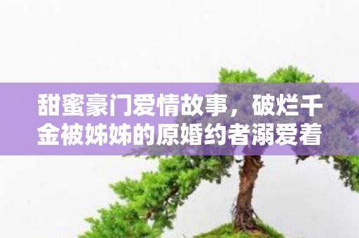 甜蜜豪门爱情故事，破烂千金被姊姊的原婚约者溺爱着