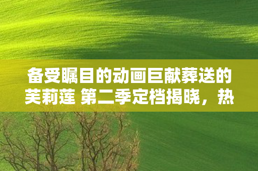 备受瞩目的动画巨献葬送的芙莉莲 第二季定档揭晓，热血期待！