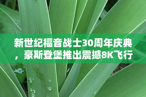 新世纪福音战士30周年庆典，豪斯登堡推出震撼8K飞行剧场体验