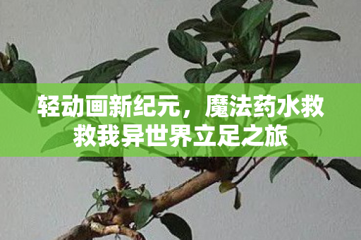 轻动画新纪元，魔法药水救救我异世界立足之旅