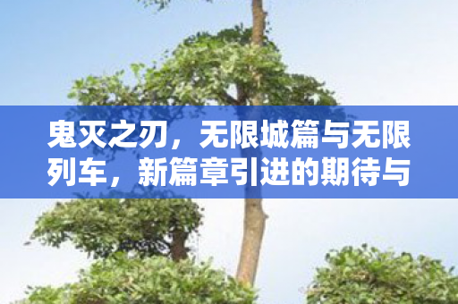 鬼灭之刃，无限城篇与无限列车，新篇章引进的期待与热议