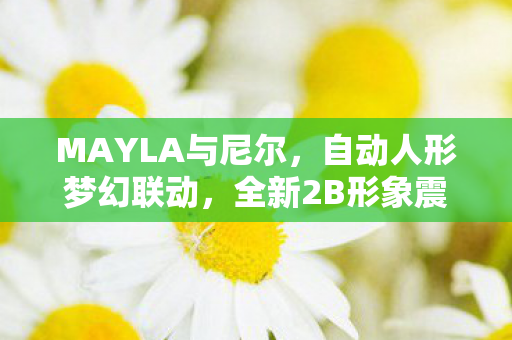 MAYLA与尼尔，自动人形梦幻联动，全新2B形象震撼登场