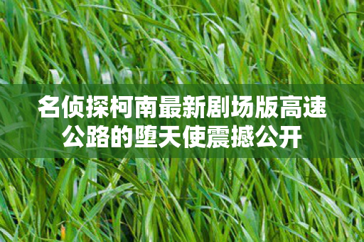 名侦探柯南最新剧场版高速公路的堕天使震撼公开
