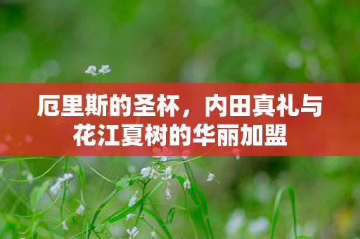 厄里斯的圣杯，内田真礼与花江夏树的华丽加盟