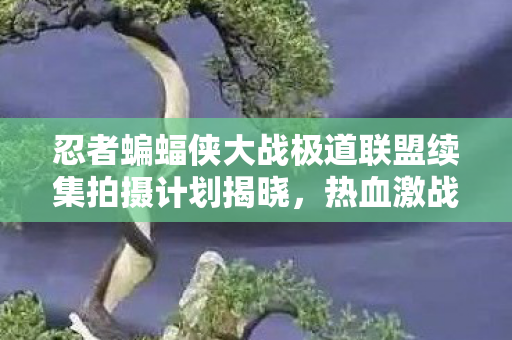 忍者蝙蝠侠大战极道联盟续集拍摄计划揭晓，热血激战即将上演