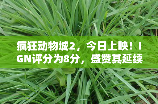 疯狂动物城2，今日上映！IGN评分为8分，盛赞其延续前作活力