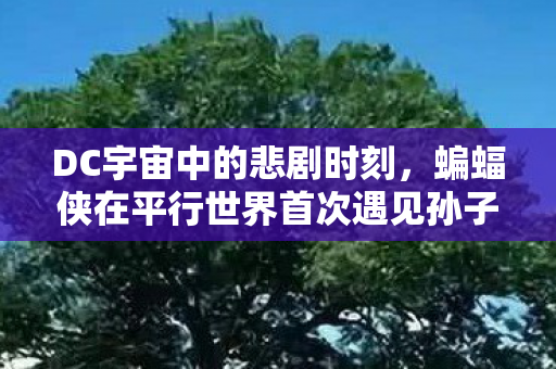 DC宇宙中的悲剧时刻，蝙蝠侠在平行世界首次遇见孙子，令人心碎的场景