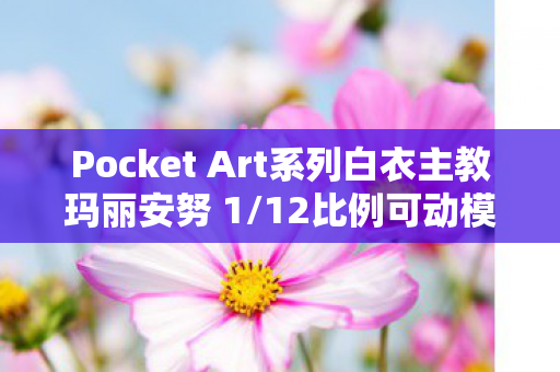 Pocket Art系列白衣主教玛丽安努 1/12比例可动模型赏析