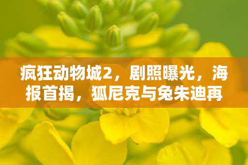 疯狂动物城2，剧照曝光，海报首揭，狐尼克与兔朱迪再度回归