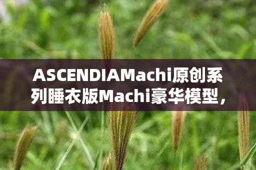 ASCENDIAMachi原创系列睡衣版Machi豪华模型，时尚与舒适的完美融合