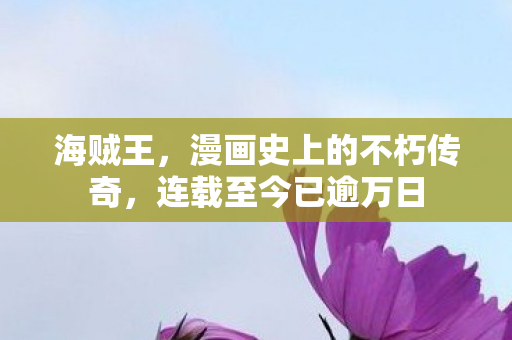 海贼王，漫画史上的不朽传奇，连载至今已逾万日