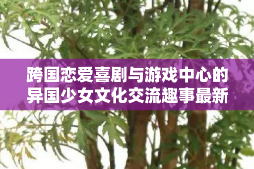 跨国恋爱喜剧与游戏中心的异国少女文化交流趣事最新情报揭晓