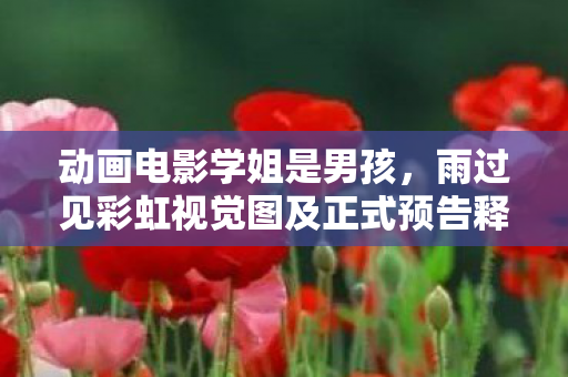动画电影学姐是男孩，雨过见彩虹视觉图及正式预告释出