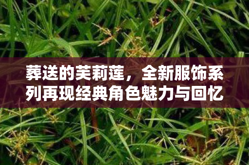 葬送的芙莉莲，全新服饰系列再现经典角色魅力与回忆