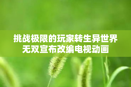 挑战极限的玩家转生异世界无双宣布改编电视动画