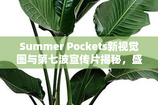 Summer Pockets新视觉图与第七波宣传片揭秘，盛夏梦境的崭新篇章