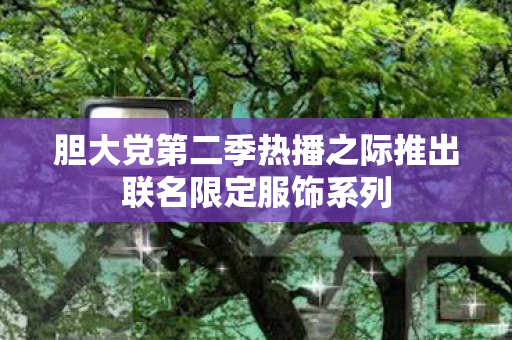 胆大党第二季热播之际推出联名限定服饰系列